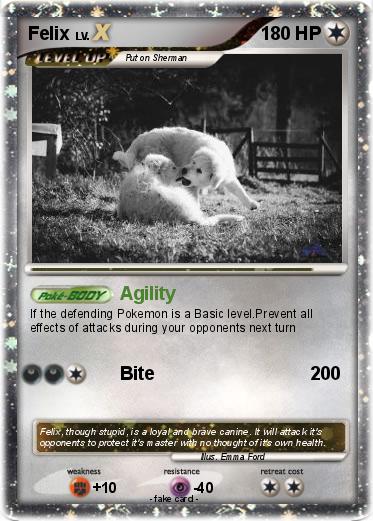 Pokemon Felix