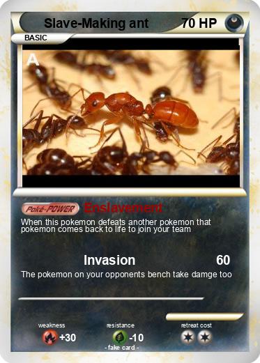 Pokemon Slave-Making ant