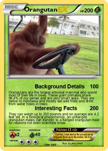 Pokemon Orangutan