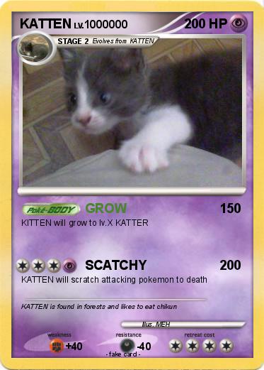 Pokemon KATTEN