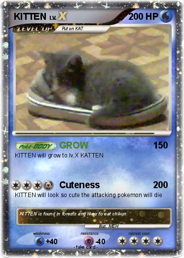 Pokemon KITTEN