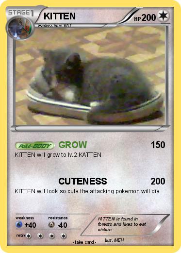 Pokemon KITTEN