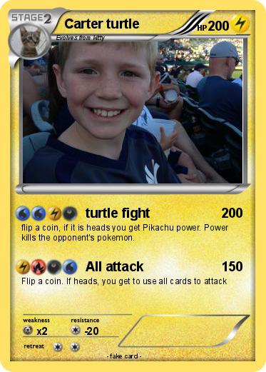Pokemon Carter turtle