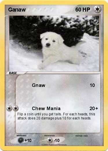 Pokemon Ganaw