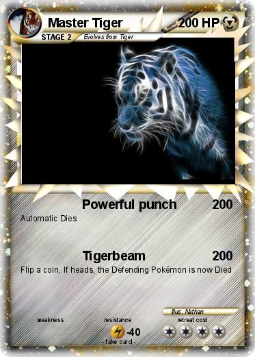 Pokemon Master Tiger