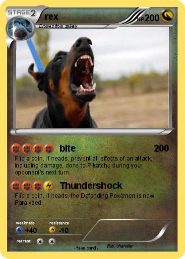 Pokemon rex