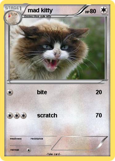 Pokemon mad kitty