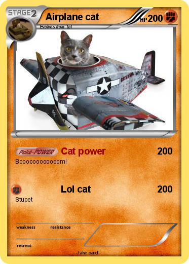 Pokemon Airplane cat