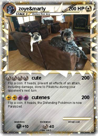Pokemon zoye&marly