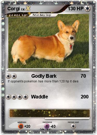 Pokemon Corgi
