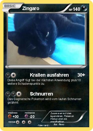 Pokemon Zingaro