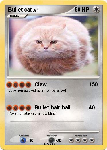 Pokemon Bullet cat
