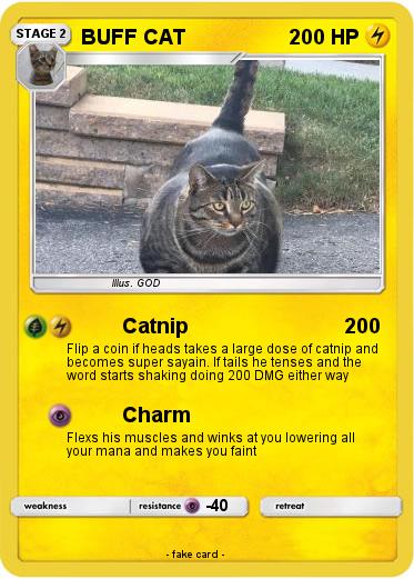 Pokemon BUFF CAT