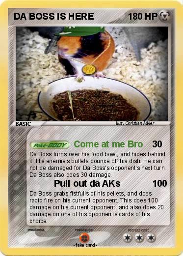 Pokemon DA BOSS IS HERE