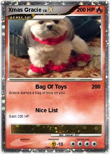 Pokemon Xmas Gracie