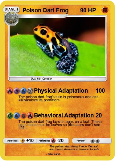 Pokemon Poison Dart Frog