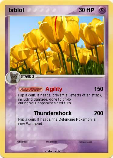Pokemon brblol