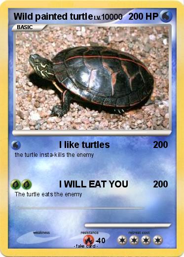 Pokemon Wild painted turtle