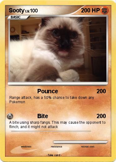 Pokemon Sooty