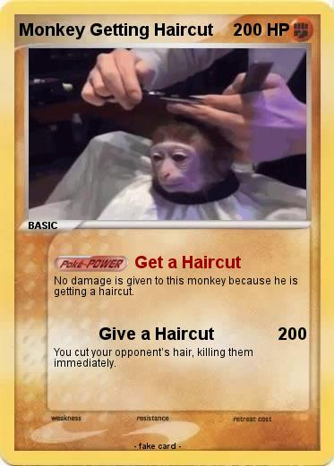 Pokemon Monkey Getting Haircut