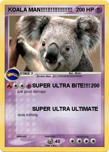 Pokemon KOALA MAN!!!!!!!!!!!!!!!!!!!