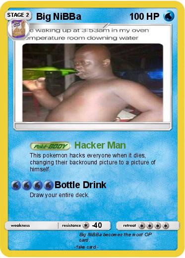 Pokemon Big NiBBa