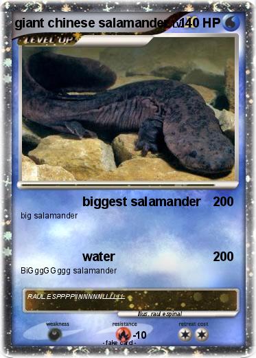 Pokemon giant chinese salamander