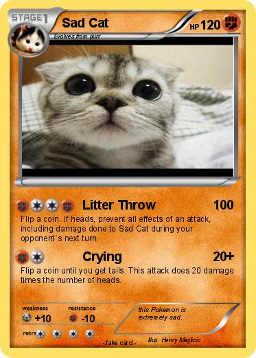 Pokemon Sad Cat
