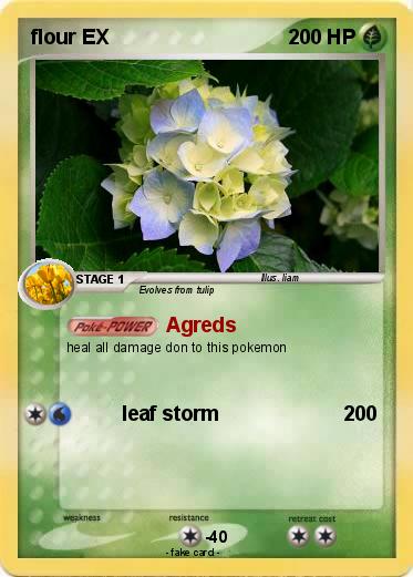 Pokemon flour EX