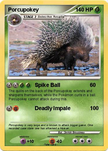 Pokemon Porcupokey