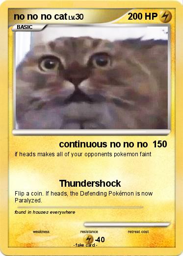 Pokemon no no no cat