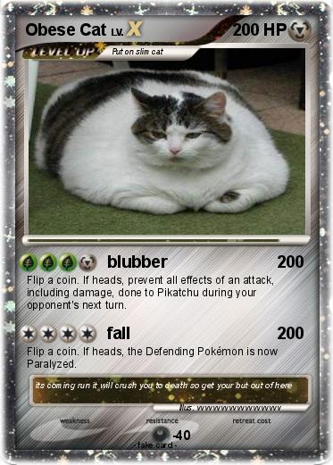 Pokemon Obese Cat