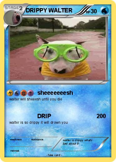 Pokemon DRIPPY WALTER