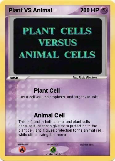 Pokemon Plant VS Animal