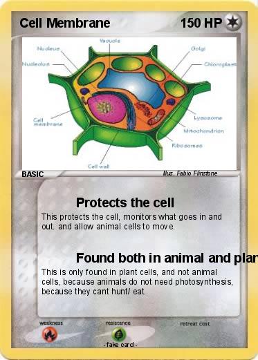 Pokemon Cell Membrane