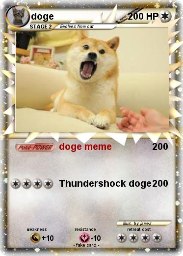 Pokemon doge