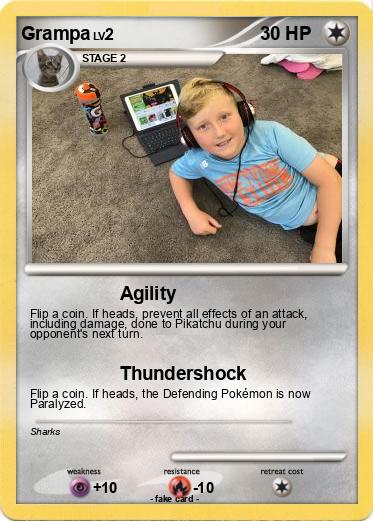 Pokemon Grampa