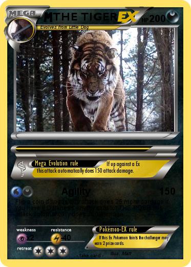 Pokemon THE TIGER