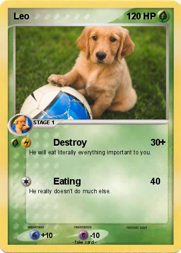 Pokemon Leo