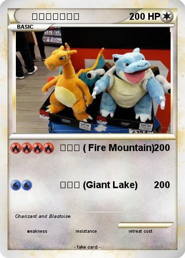 Pokemon 水箭龟和喷火龙