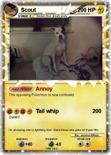 Pokemon Scout