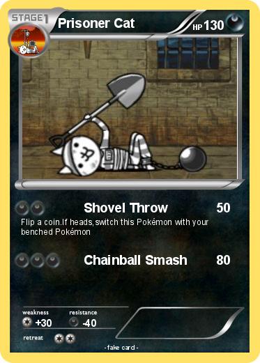 Pokemon Prisoner Cat