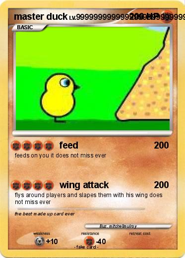 Pokemon master duck