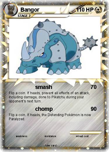 Pokemon Bangor