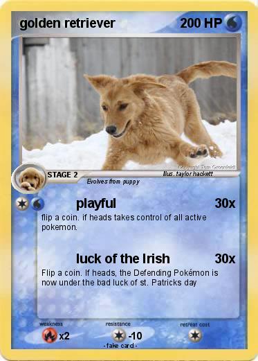Pokemon golden retriever