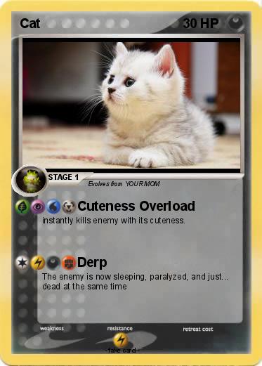 Pokemon Cat