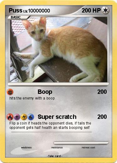 Pokemon Puss