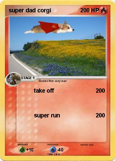 Pokemon super dad corgi