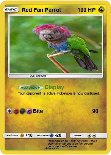 Pokemon Red Fan Parrot