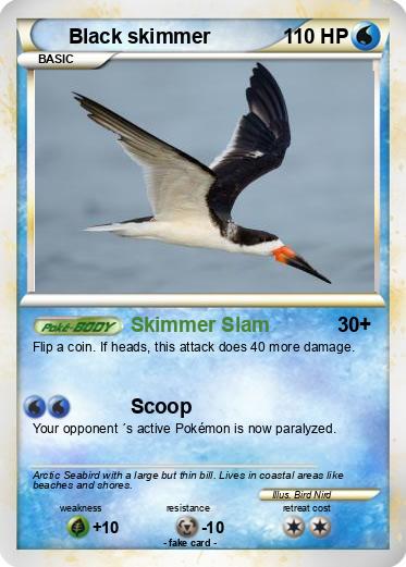 Pokemon Black skimmer